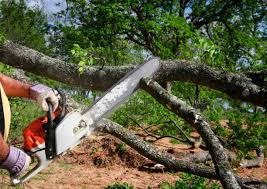 Best Landscape Design and Installation  in Smiths Station, AL